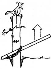 Out, Damned Post: Removing Fence Posts Image